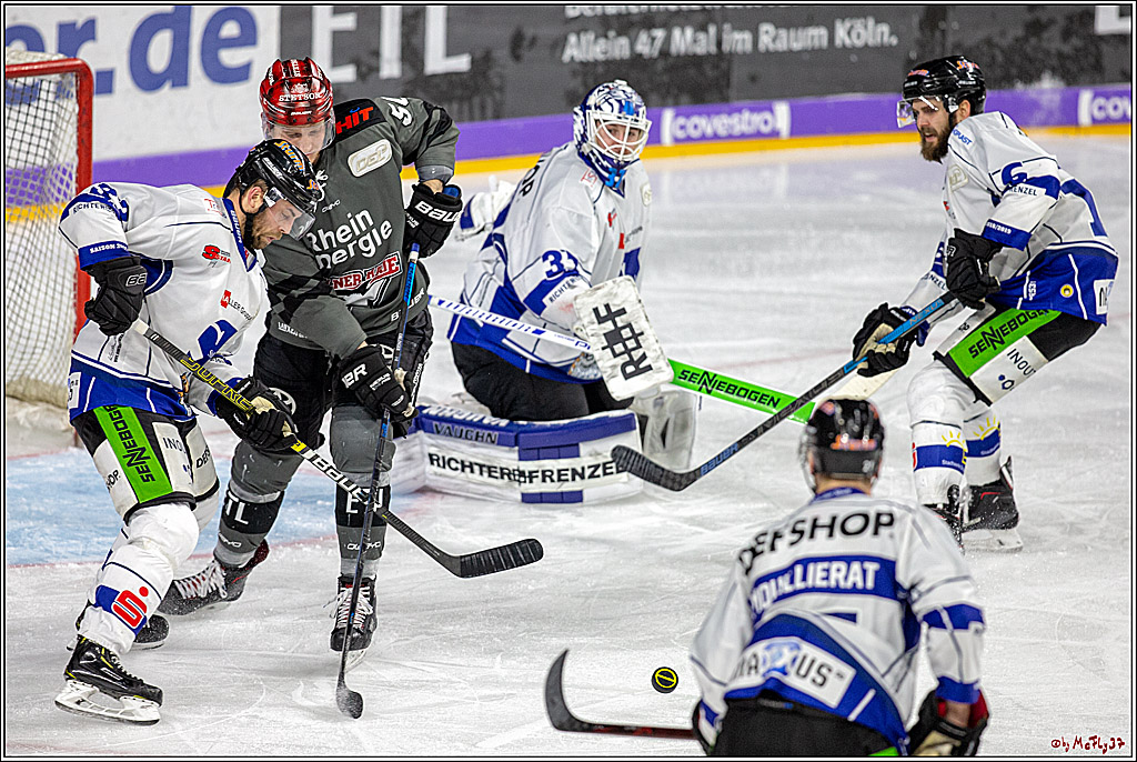 DEL; Koelner Haie - Straubing Tigers, 02.12.2018